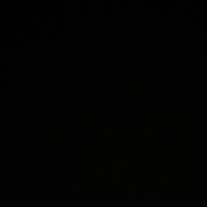 Meet your Posher, Amelie